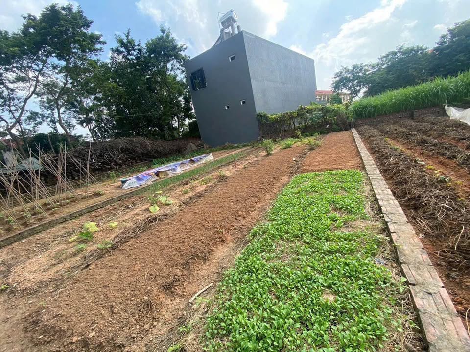 Đất Hoàng Đan - Rộng 7.2m, hơn 900 triệu, cạnh trường học, cơ hội có một không hai