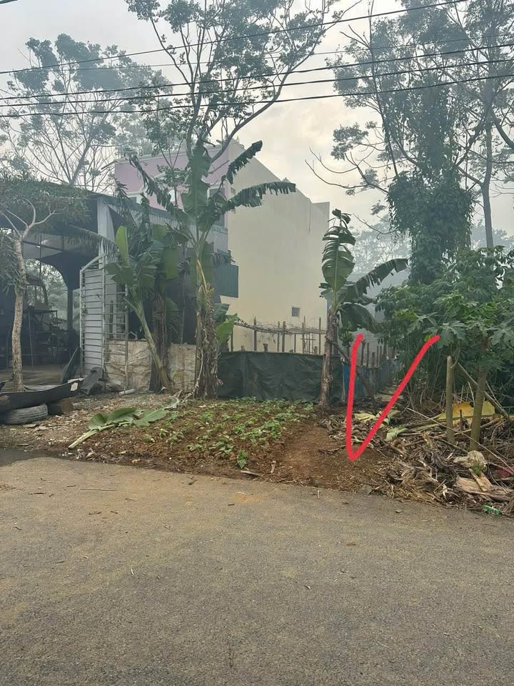 Đất vàng Tam Điệp, Ninh Bình, giá 1.x tỷ, đường 15m, sổ đỏ sẵn sàng