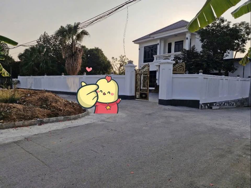 Chính chủ gửi bán 02 ô đất liền kề siêu đẹp tại Thôn Dội, Đạo Tú, Tam Dương, Vĩnh Phúc