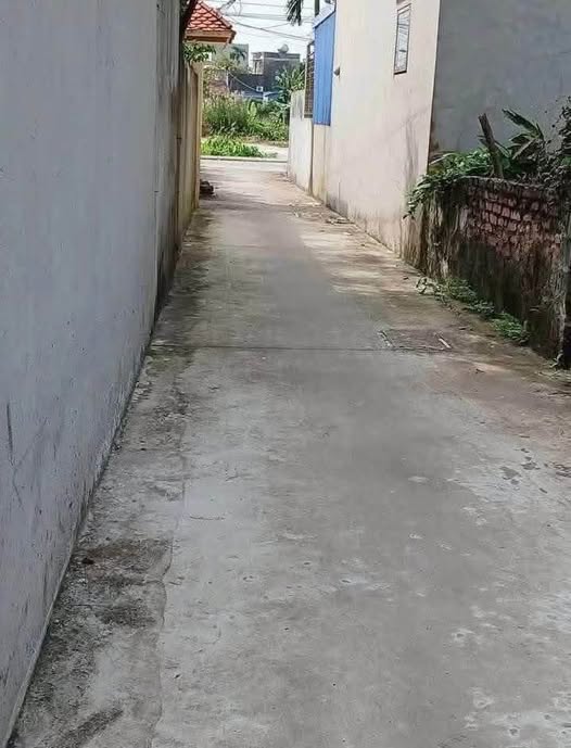 Đất vàng Thiên Trường, Nam Định, diện tích 51m², giá rẻ bất ngờ