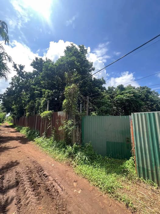 Lô đất vuông vắn với diện tích 10m x 52m, tổng 520m2, tọa lạc tại vị trí đắc địa gần chợ Đạt Lý