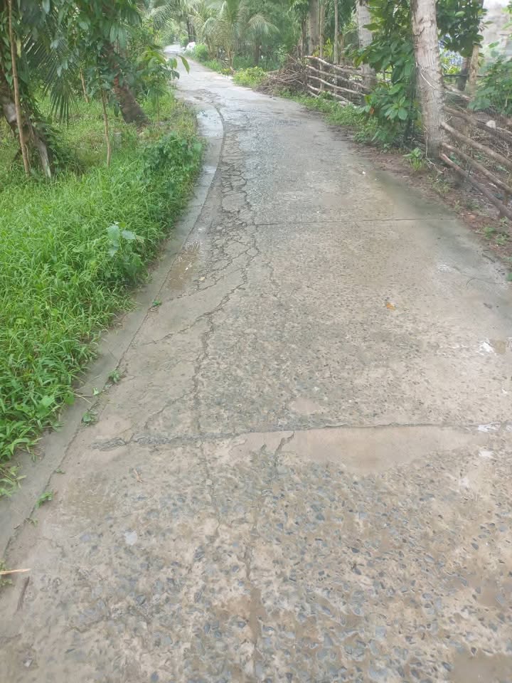 Bán đất tại ấp Trà Ốt, Thông Hoà, Cầu Kè, Trà Vinh