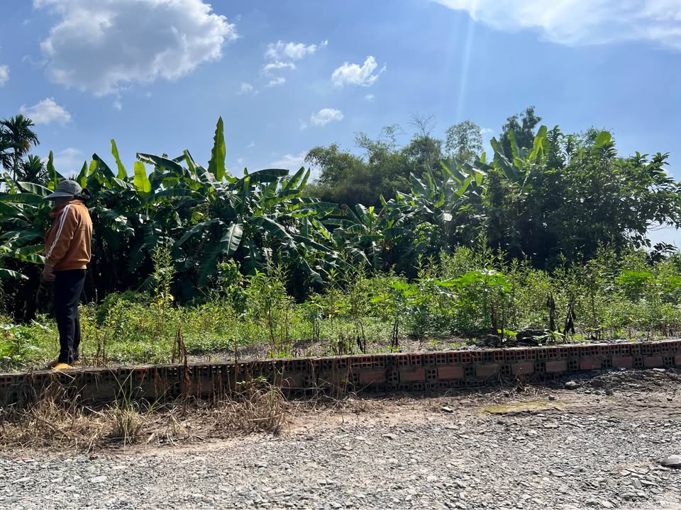 Đất Long An 600 củ, sổ hồng riêng, sẵn sàng đón chủ mới