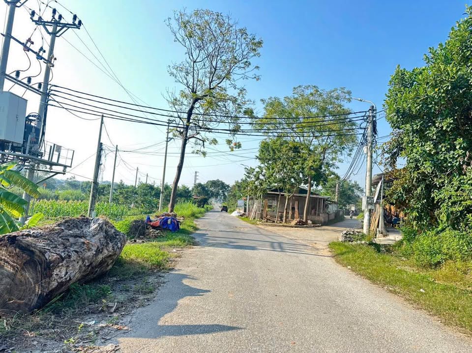 Đất Tam Đảo mặt tiền 10m, kinh doanh nhỏ lẻ, gần khu du lịch Tây Thiên