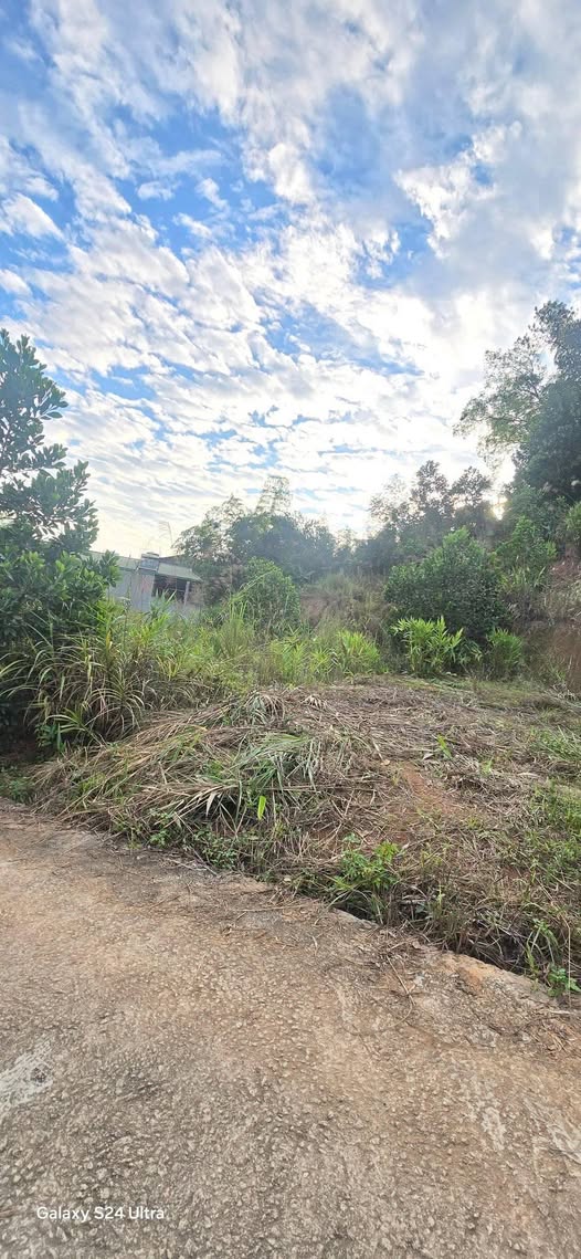 Bán lô đất vườn Sông Bằng, 188m2, ngõ ô tô đỗ cửa, giá yêu thương