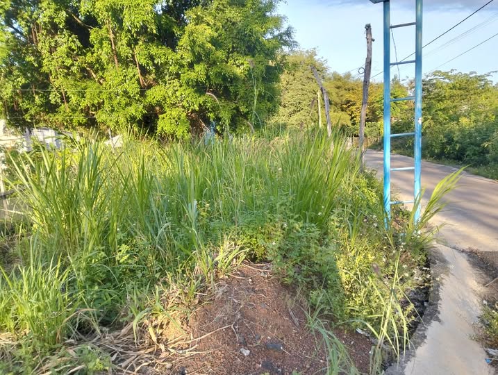 Đất mặt tiền kinh doanh tại Lộc Phú, Bình Phước - diện tích 756m2