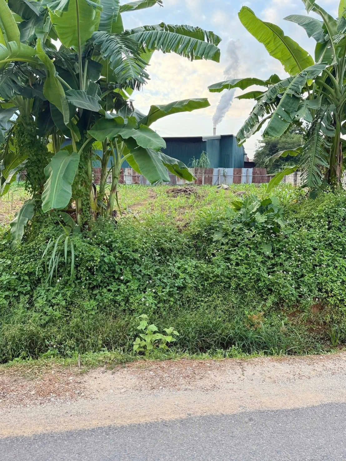 Đất Giai Thượng, 5x26m, full thổ cư, đường nhựa ô tô tránh, giá tốt