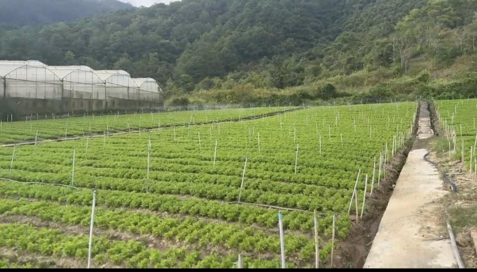 Đất 1041m2 Thạnh Mỹ, Đơn Dương, view đẹp, sẵn 200m2 thổ cư, giá 2,7 tỷ