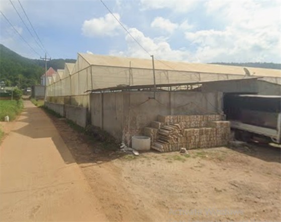 Mảnh đất Đơn Dương an yên giữa thiên nhiên, đón lành vào nhà