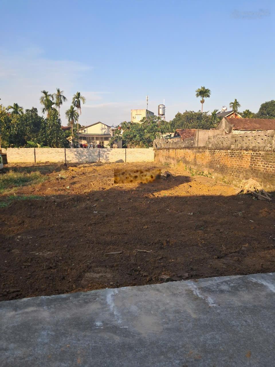 Đất Tản Lĩnh full thổ cư sẵn sổ sang tên đường thoáng rộng cách TL87 UB xã tầm 800m tiện ích đầy đủ