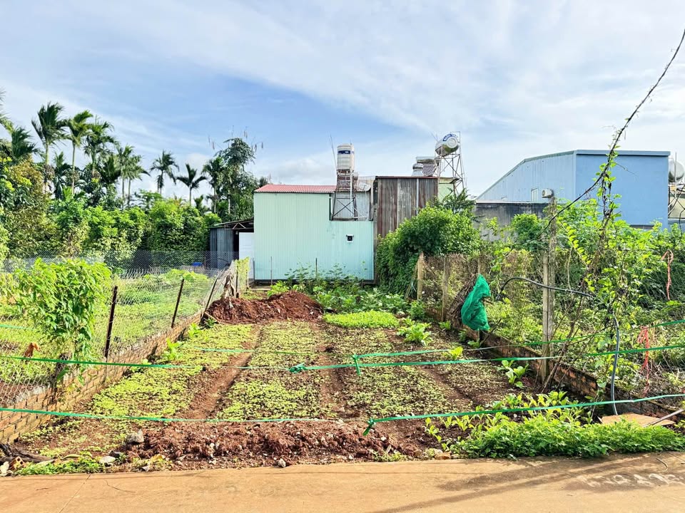 Bán đất hẻm xe hơi 6m, phường Tân Hoà, Đắk Lắk, 120m², giá tốt