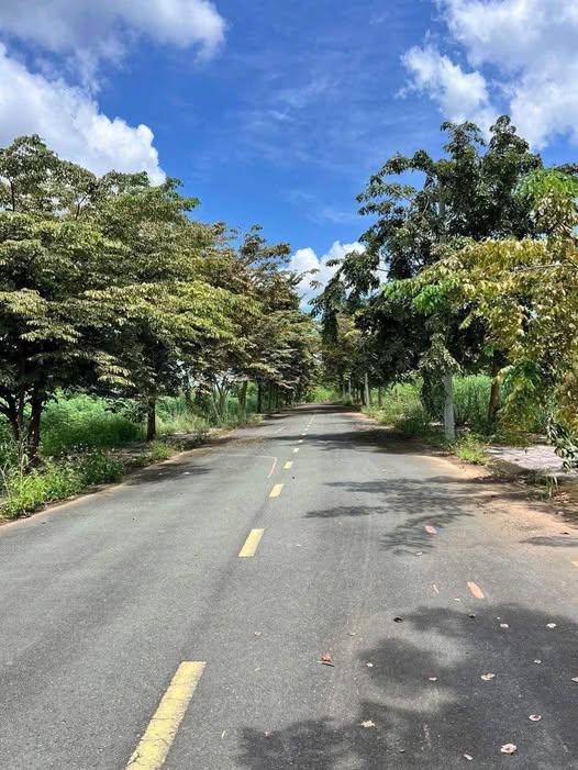 Bán đất trung tâm Đồng Phú, diện tích 5x25m, thổ cư