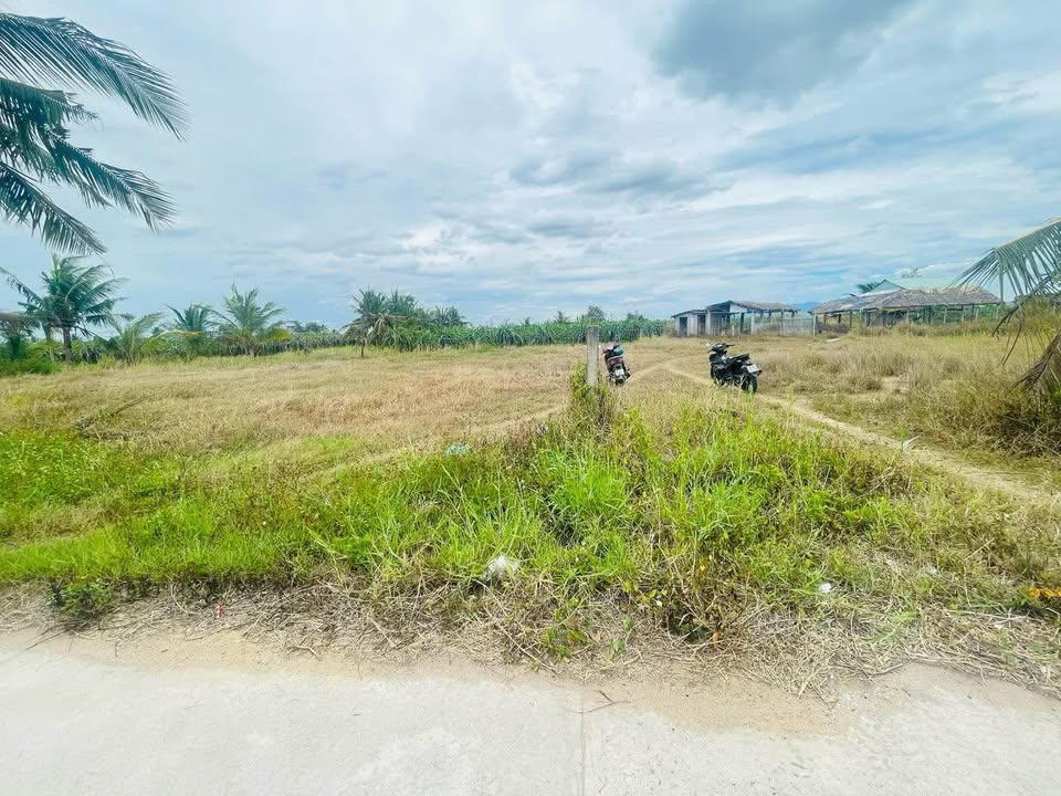 Cơ hội sở hữu lô đất thổ cư 100m2 vuông vức, cao ráo tại khu dân cư sầm uất