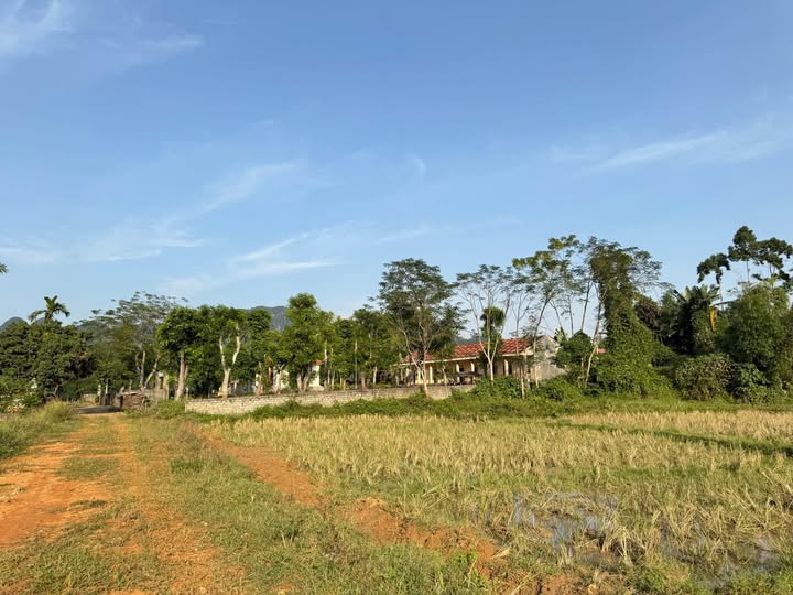 Đất Ngọc Lặc 180m² thổ cư, mặt tiền 5m, giá 286 triệu, sắm ngay kẻo lỡ