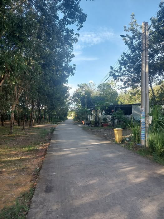 Bán đất Đồng Xoài, sát cổng khu công nghiệp, phù hợp xây trọ hay đầu tư kho xưởng