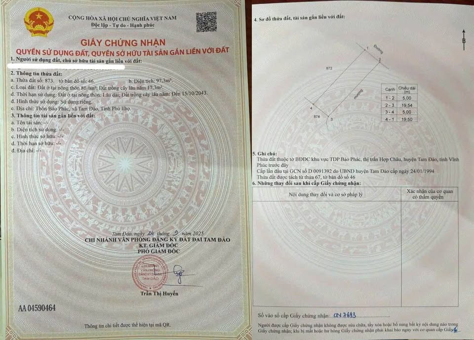 Bán đất nền trung tâm Tam Dương, Vĩnh Phúc - Giá rẻ hơn thị trường 200 triệu