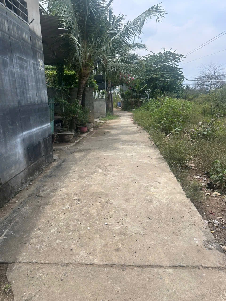 Bán đất vườn tại thôn Phú Bình, xã Vĩnh Thạnh, thành phố Nha Trang, hẻm bê tông 3m, giá 4,2 tỷ