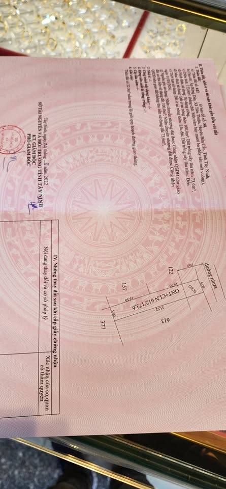 Bán đất thổ cư 100m2 mặt tiền đường nhựa 10m, huyện Trảng Bàng, Tây Ninh