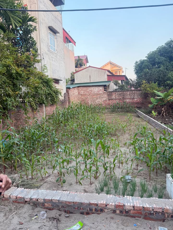 Đất 97m² Thượng Vũ, ngõ thoáng, ô tô nhỏ lọt, tiềm năng tăng giá x2