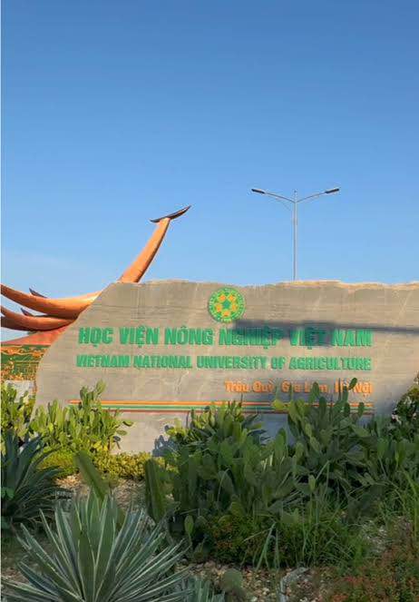 Bán đất đẹp 43m² Gia Lâm, sổ đỏ sẵn, ô tô đỗ gần