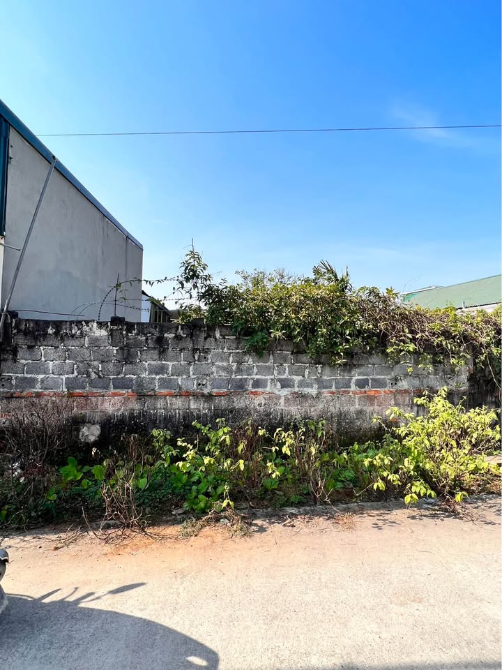 Bán đất 100m² tại Duy Tiên, Hà Nam, ngõ ô tô tránh, đầu tư sinh lời cực đỉnh