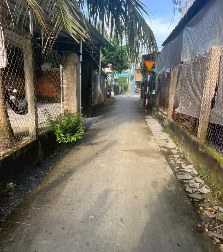 Đất Bến Tre 500 củ, nở hậu tài lộc, sổ đường thông thoáng