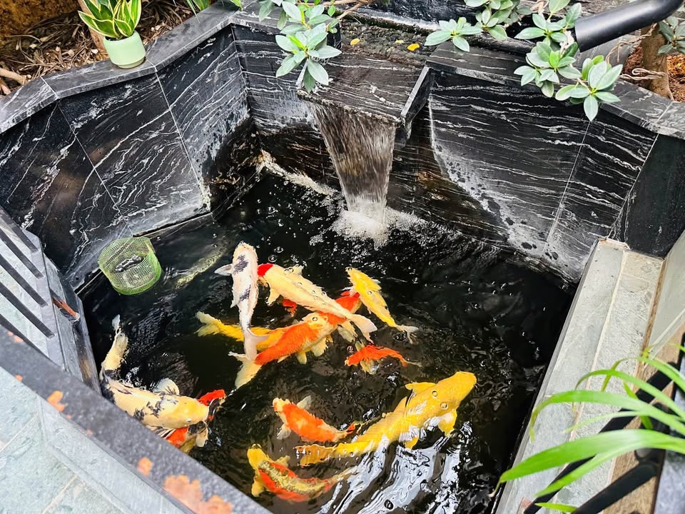 Bán nhà liền kề 6 tầng thang máy, full nội thất cao cấp tại Hoàng Quốc Việt, Hà Nội