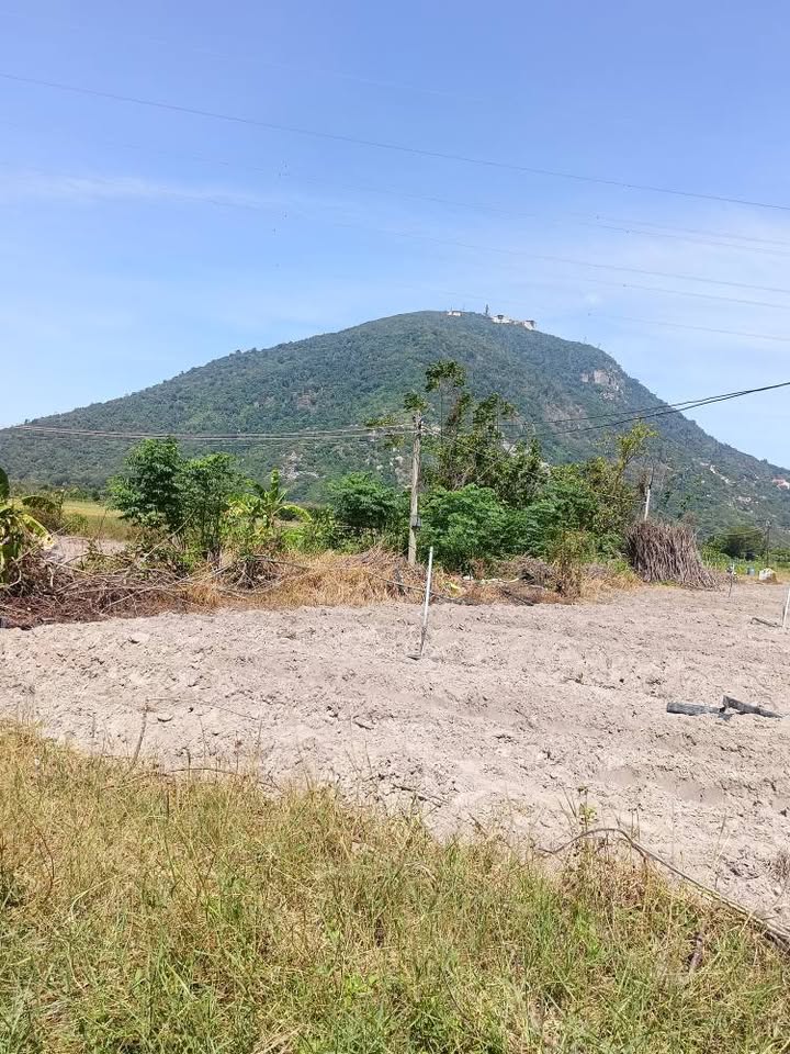 Cần bán gấp lô đất vườn diện tích 1500m2 tại xã Ninh Thạnh, thị xã Hòa Thành, tỉnh Tây Ninh