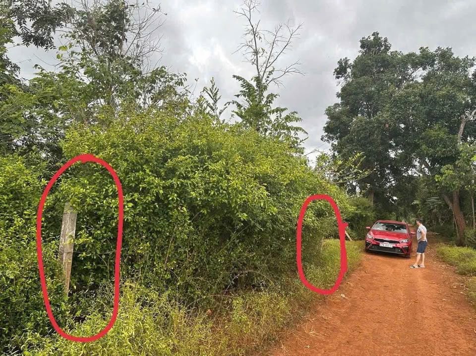 Bán lô đất vàng tại Y Moan nối dài, Buôn Sut, Đắk Lắk, giá chỉ 350 triệu đồng/lô