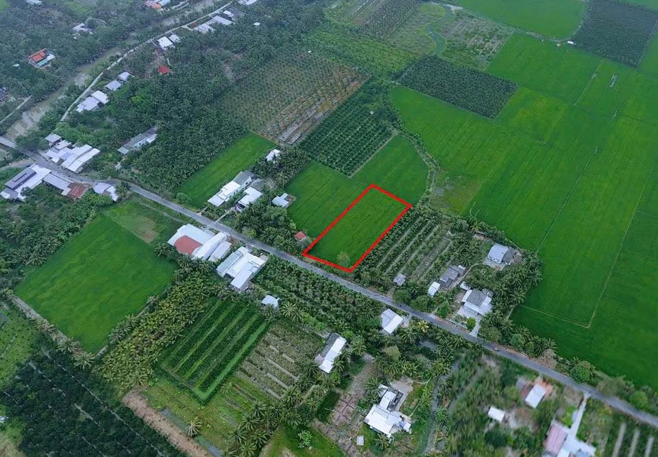 Đất mặt tiền đường huyện 31B, Mang Thít, Vĩnh Long, gần 2 công