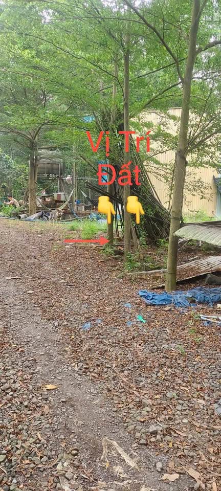 Bán nhanh đất 100m2 sổ riêng full thổ cư tại Biên Hòa, Đồng Nai