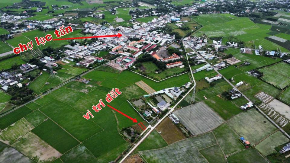 Bán đất ngay ngã tư Lạc Tấn, đầu tư hay an cư đều được