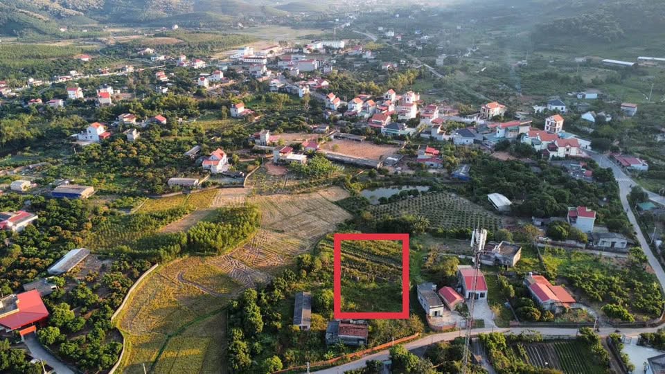 Đất Chí Linh, Hải Dương sổ 300m2, view đồng lúa, núi non, ô tô tận đất