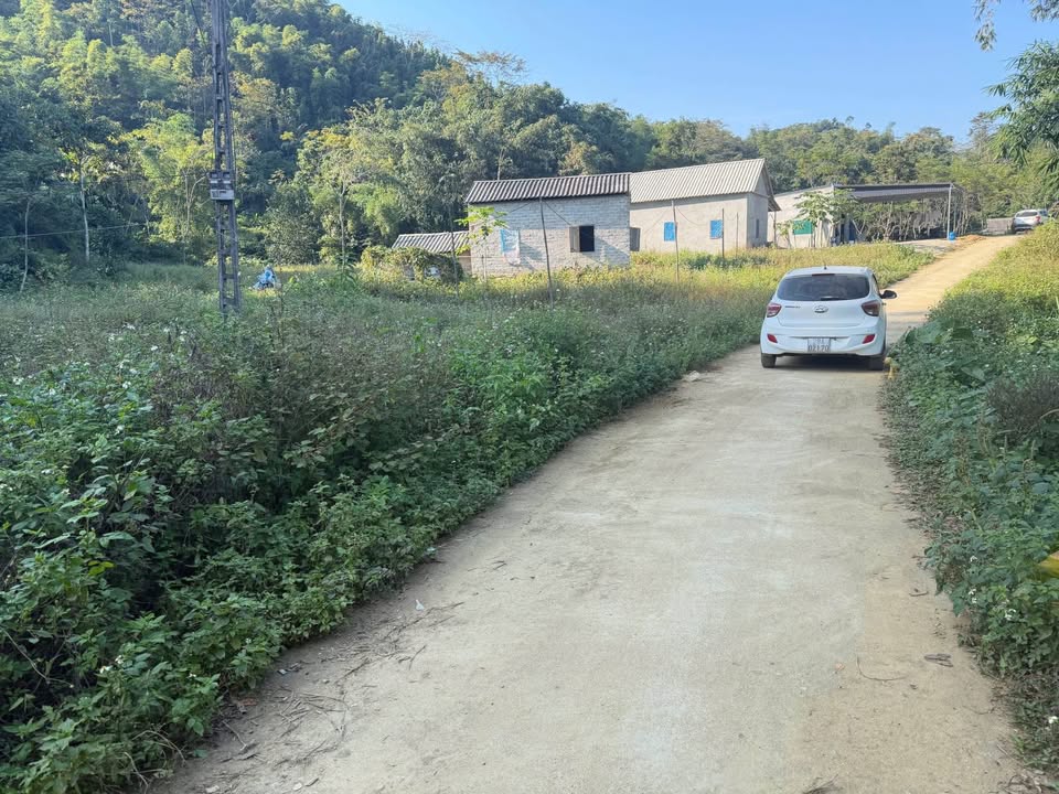 Đất Mai Châu, Hòa Bình sẵn nhà sàn, bám đường thông