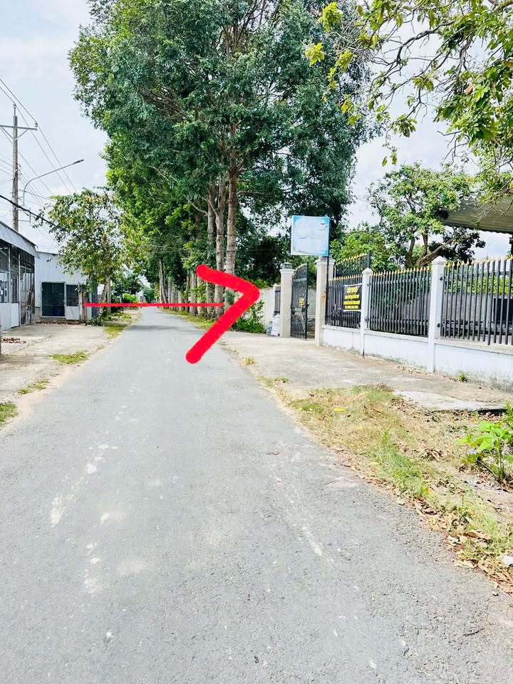 Bán đất nền Phú Hưng, Bến Tre, gần lộ nhựa, đường ô tô, giá hấp dẫn