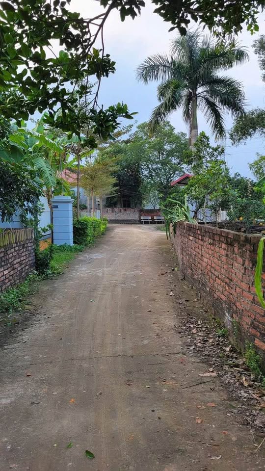 Bán đất 72m2 Kim Sơn, Sóc Sơn mặt tiền 4.5m, ô tô vào tận nơi