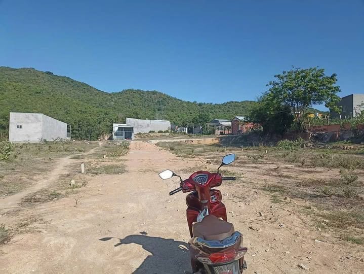 Đất Long Điền 103m2 bán lỗ sập hầm chỉ 279 triệu, cơ hội vàng cho nhà đầu tư