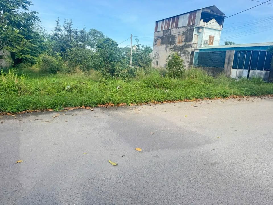 Bùng nổ giá đất Thiên Tân, mặt tiền 10m thông, xây ở kinh doanh bao lời