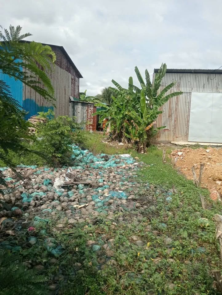 Đất vườn ngộp 850 triệu 10m x 50m, cách nhựa ba sa 400m, xe tải vi vu