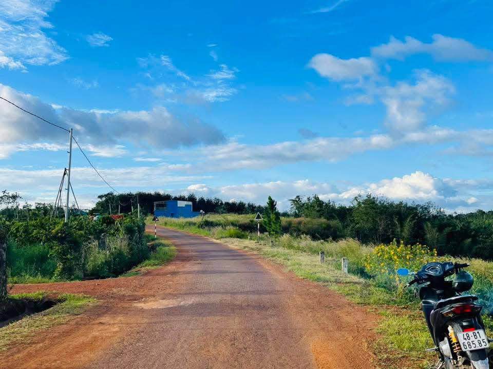 Đất view suối 17m mặt đường nhựa, 100m2 thổ cư, 2 sào đất cực chill