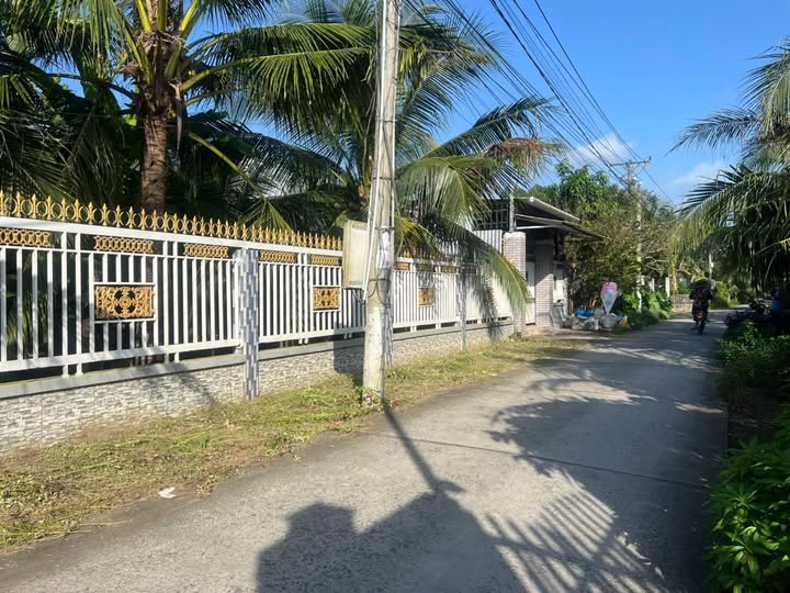 Mảnh đất vàng rộng 300m2 tại Hữu Định, Bến Tre, đang chờ chủ nhân mới