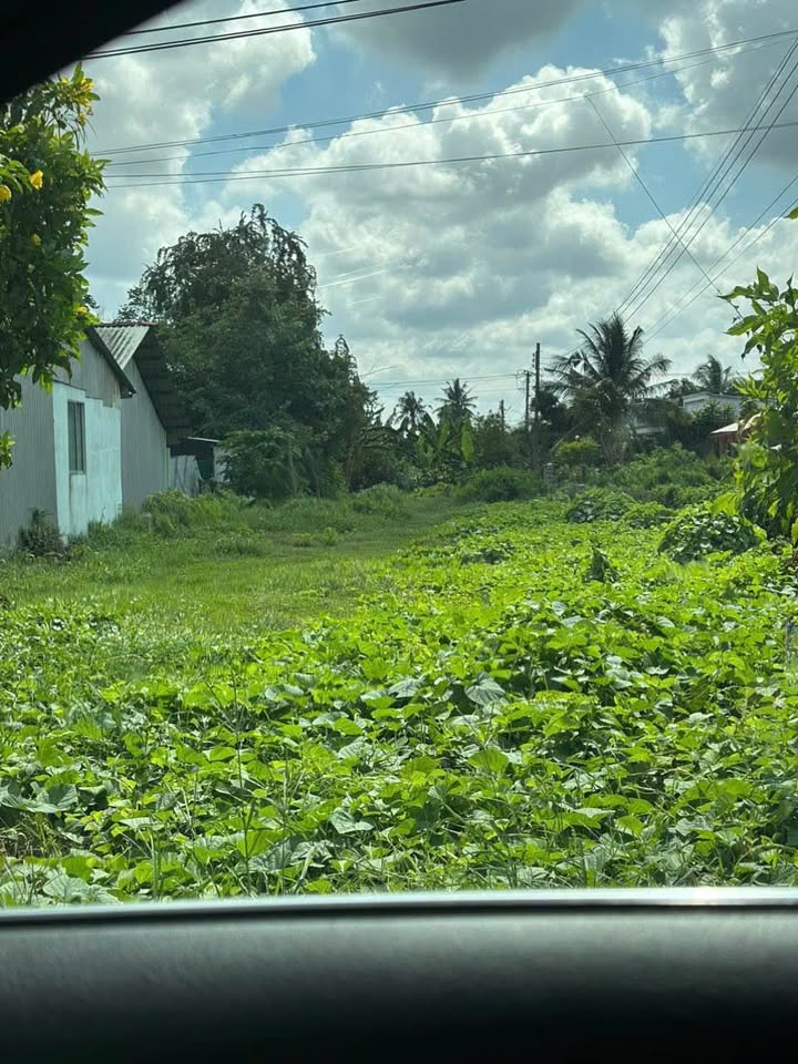 Đất Vĩnh Long 972m2 mặt tiền Quốc Lộ 53, 4,3 tỷ