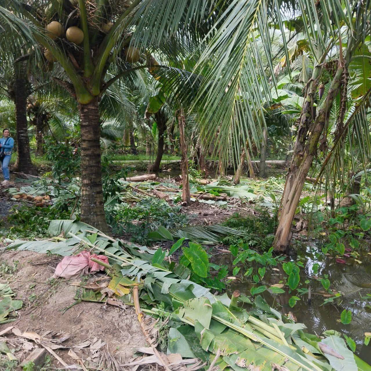 Bán đất tặng nhà 500m2 mặt tiền 19m, sổ đỏ thổ cư, giá 599 triệu