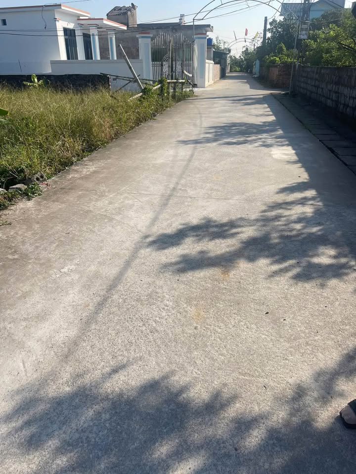 Bán đất tại Thái Thụy, Thái Bình, gần biển và khu công nghiệp