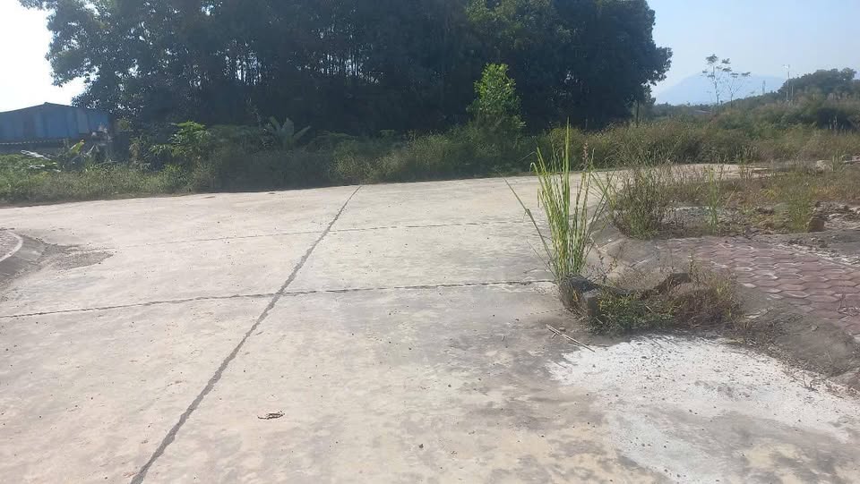 Bán đất tái định cư Trung Thành 2, 100m2, mặt tiền 5m, giá 2.3 tỷ