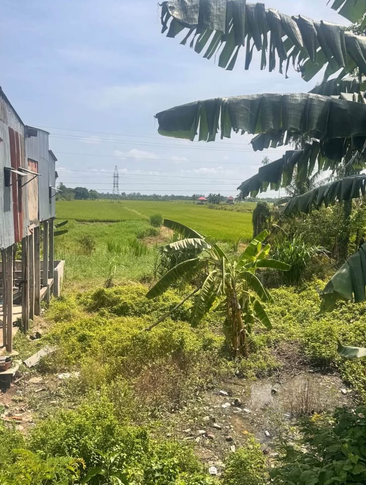 Bán đất An Phú, An Giang, 1329m2, mặt tiền rộng, nở hậu đón tài lộc