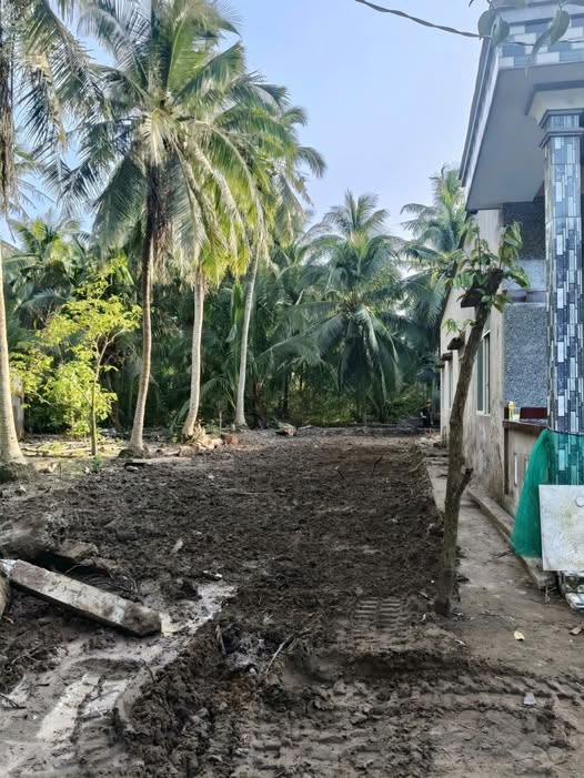 Đất Vĩnh Long, 380 triệu, diện tích 6x32m, ô tô vi vu, gần chợ, trường