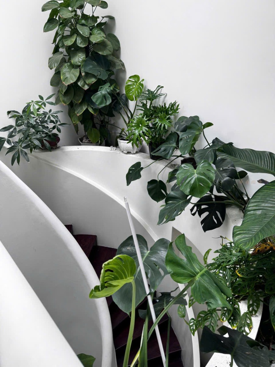 Siêu phẩm nhà mới 100% Bàu Cát, Tân Bình, giá 9.5 tỷ có thương lượng