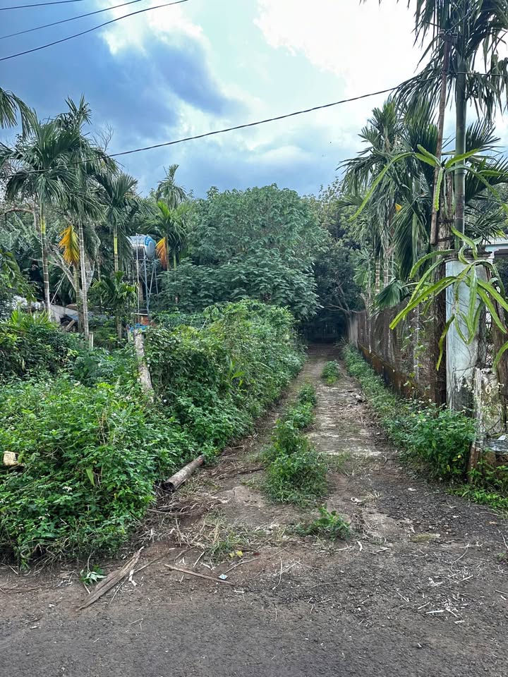 Bán gấp lô góc 2 mặt tiền đường 8A, Đắk Lắk giá 1,27 tỷ