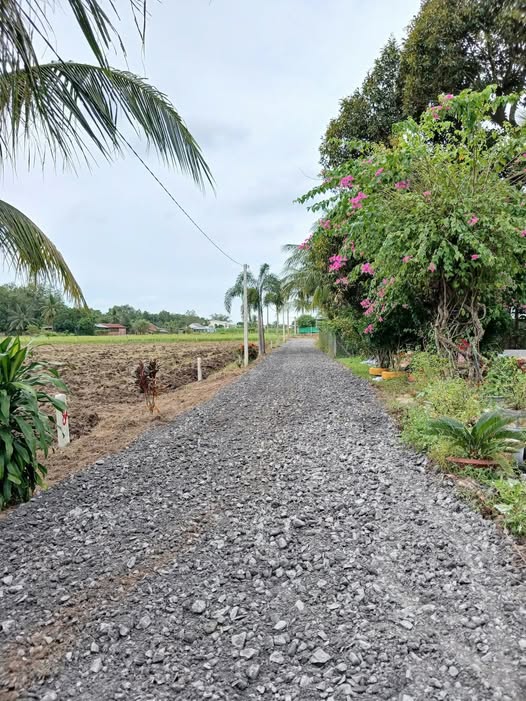 Miền đất vàng Suối Dộp, nơi ước mơ nông nghiệp vươn xa